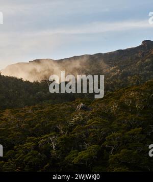 Landschaft am Routeburn Track in der Nähe von McKenzie Hut, Fjiordland National Park, South Island, Neuseeland Stockfoto