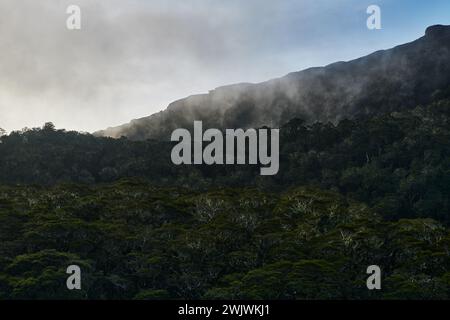 Landschaft am Routeburn Track in der Nähe von McKenzie Hut, Fjiordland National Park, South Island, Neuseeland Stockfoto