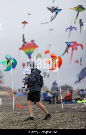 Wellington, Neuseeland. Februar 2024. Während des Otaki Kite Festivals 2024 am Strand von Otaki, Wellington, Neuseeland, am 17. Februar 2024, fliegen die Menschen Drachen. Hunderte von bunten Drachen flogen am Himmel des Otaki Beach in Wellington während des Drachenfestes vom 17. Bis 18. Februar. Quelle: Meng Tao/Xinhua/Alamy Live News Stockfoto