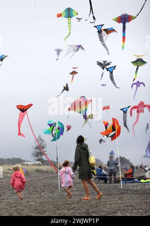 Wellington, Neuseeland. Februar 2024. Während des Otaki Kite Festivals 2024 am Strand von Otaki, Wellington, Neuseeland, am 17. Februar 2024, fliegen die Menschen Drachen. Hunderte von bunten Drachen flogen am Himmel des Otaki Beach in Wellington während des Drachenfestes vom 17. Bis 18. Februar. Quelle: Meng Tao/Xinhua/Alamy Live News Stockfoto