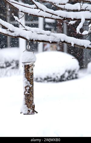 Schneesturm; Vogelfutter; Wetterereignis; weiß; Baumzweige, Schneekappe, hübsche Szene, Winter; Pennsylvania; PR, Chester County, PA Stockfoto