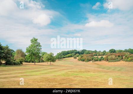 Beverley, Yorkshire, Großbritannien - Blick auf den öffentlichen Park von Westwood während einer Zeit des Zuges mit trockenen Gräsern und Bäumen unter blauem Himmel in Beverley, Großbritannien. Stockfoto