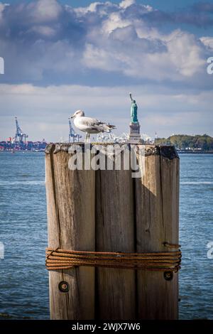 Eine Möwe ruht auf einem Pier im Battery Park mit der Freiheitsstatue im Hintergrund, New York, USA Stockfoto