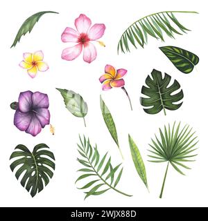 Setzen Sie tropisches Blatt Monstera und Blumen Hibiskus, Plumeria, Palmenzweig Aquarell isoliert auf weißem Hintergrund. Aquarell handgezeichnet Botanik Stockfoto