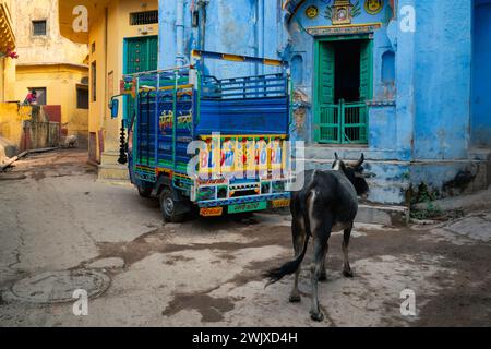 Eine ruhige Stadtwand mit Kuh, die auf Futter wartet, kleinen LKW und Schweine fütternde Frau, in der bunten Straße in Bundi, Indien. Stockfoto