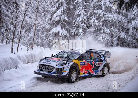 Umea, Schweden. Februar 2024. Fahrer Adrien Fourmaux und Alexandre Coria vom M-Sport Ford World Rally1 Hybrid treten 2024 bei der FIA World Rally Championship an. (Foto: Luca Barsali/SOPA Images/SIPA USA) Credit: SIPA USA/Alamy Live News Stockfoto