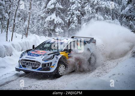 Umea, Schweden. Februar 2024. Fahrer Gregoire Munster und Louis Louka vom M-Sport Ford World Rally Team, Ford Puma Rally1 Hybrid, treten bei der FIA World Rally Championship 2024 an. (Foto: Luca Barsali/SOPA Images/SIPA USA) Credit: SIPA USA/Alamy Live News Stockfoto