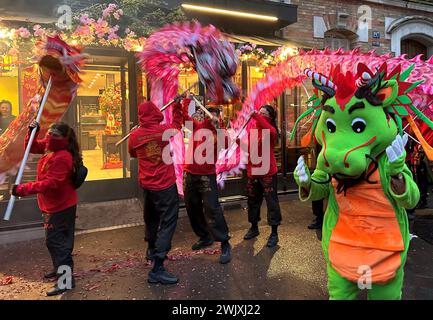 © PHOTOPQR/LE PARISIEN/Delphine Goldsztejn ; Paris ; 11/02/2024 ; Nouvel an chinois 2024 et l'année du Dragon de Bois Le Nouvel an chinois, vietnamien (la fête du Têt), coréen, singapourien, malaisien, indonésien et philippin, Plus Communément appelé Nouvel an lunaire Le Nouvel an lunaire à Paris, qui a lieu cette année le samedi 10 février 2024, EST la promesse de défilés grandioses avec dragons et feux de Bengale. 195 Av. De Choisy, 75013 Paris Le 11/02/2024 Foto: Delphine Goldsztejn - Chinesisches Neujahr 2024 und das Jahr des Holzdrachen in Paris 11 Februar 2023 Stockfoto