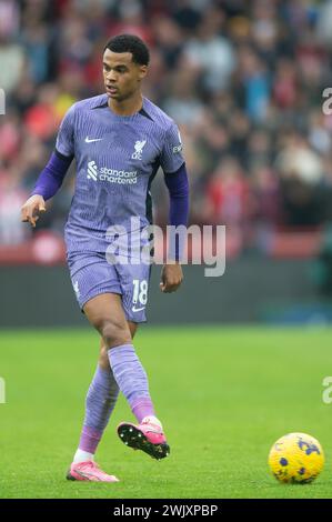 17. Februar 2024; Gtech Community Stadium, Brentford, London, England; Premier League Football, Brentford gegen Liverpool; Cody Gakpo aus Liverpool Stockfoto