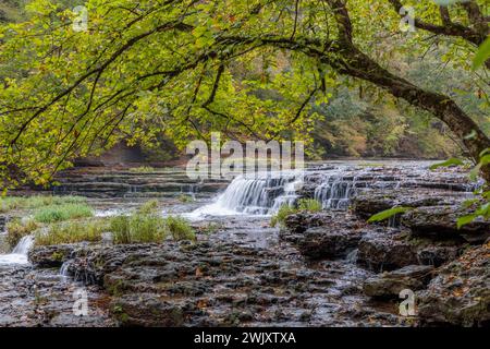 Falling Water Cascades im Burgess Falls State Park in der Nähe von Cookeville, Tennessee Stockfoto