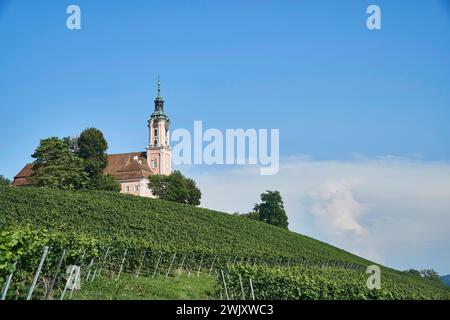 Europa, Deutschland, Birnau, Baden-Württemberg, Bodenseeregion, Uhldingen-Mühlhofen, Basilika Birnau, St.. Marienkirche, Kirche, St. Marien Stockfoto