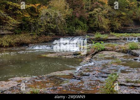 Falling Water Cascades im Burgess Falls State Park in der Nähe von Cookeville, Tennessee Stockfoto