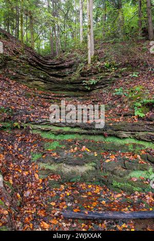 Wasserabfluss-Schlucht führt zum Falling Waters River im Burgess Falls State Park bei Sparta, Tennessee Stockfoto