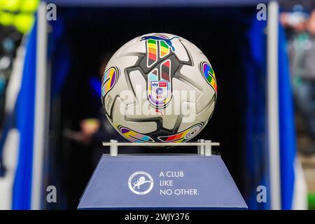 London, Großbritannien. Februar 2024. Rainbow Match Ball während des Millwall FC gegen Sheffield Wednesday FC SKY Bet EFL Championship Match Match Ball in den, London, England, Großbritannien am 17. Februar 2024 Credit: Every Second Media/Alamy Live News Stockfoto