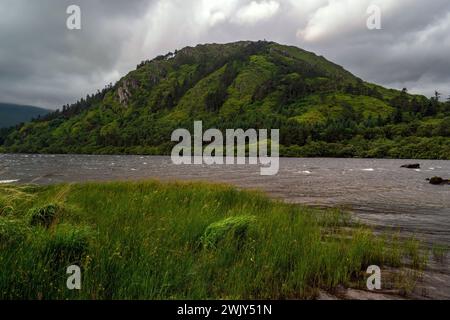Ein bewaldeter Hügel mit Blick auf einen Bergsee auf der Beara Peninsula in County Kerry, Irland. Stockfoto