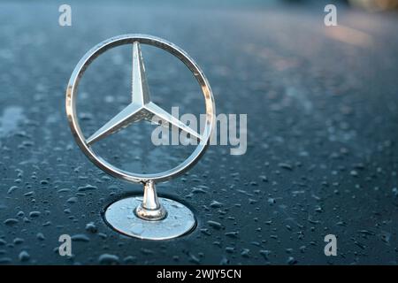 Mercedes-Benz Stern, physisches Logo, auf einer Autohaube der S-Klasse voller Regentropfen bei Tageslicht in Mannheim Stockfoto