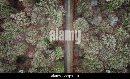 Frankreich. Februar 2024. © PHOTOPQR/VOIX DU NORD/PIERRE ROUANET; 14/02/2024; Wallers Arenberg, le 14/02/2024. Vol en drone au dessus de la Dreve des boules d'Herin, la Trouee d'Arenberg, secteur pave emblematique de la Course cycliste Paris Roubaix (cyclisme, UCI, l'enfer du Nord). Foret domaniale de Raismes Saint Amand Wallers. FOTO PIERRE ROUANET LA VOIX DU NORD - Drohnenflug über dem Dreve des boules d'Herin, dem Trouee d'Arenberg, dem emblematischen Kopfsteinpflastersektor des Pariser Roubaix-Radrennens 14. Februar 2024 Credit: MAXPPP/Alamy Live News Stockfoto