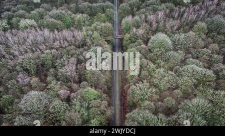 Frankreich. Februar 2024. © PHOTOPQR/VOIX DU NORD/PIERRE ROUANET; 14/02/2024; Wallers Arenberg, le 14/02/2024. Vol en drone au dessus de la Dreve des boules d'Herin, la Trouee d'Arenberg, secteur pave emblematique de la Course cycliste Paris Roubaix (cyclisme, UCI, l'enfer du Nord). Foret domaniale de Raismes Saint Amand Wallers. FOTO PIERRE ROUANET LA VOIX DU NORD - Drohnenflug über dem Dreve des boules d'Herin, dem Trouee d'Arenberg, dem emblematischen Kopfsteinpflastersektor des Pariser Roubaix-Radrennens 14. Februar 2024 Credit: MAXPPP/Alamy Live News Stockfoto