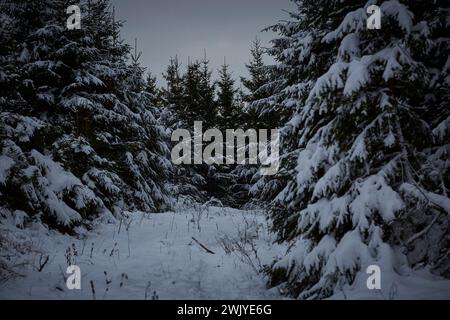 Winterlandschaft in Warstein, Schneewanderung zum Lörmecke Turm, Aussichtsplattform, Kreis Soest, Sauerland, NRW, Deutschland, Europa, Deutschland, Europa Stockfoto