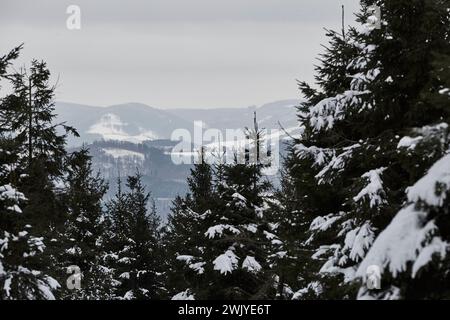 Winterlandschaft in Warstein, Schneewanderung zum Lörmecke Turm, Aussichtsplattform, Kreis Soest, Sauerland, NRW, Deutschland, Europa, Deutschland, Europa Stockfoto