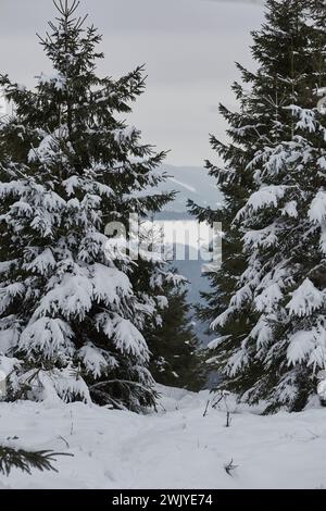 Winterlandschaft in Warstein, Schneewanderung zum Lörmecke Turm, Aussichtsplattform, Kreis Soest, Sauerland, NRW, Deutschland, Europa, Deutschland, Europa Stockfoto