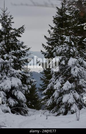 Winterlandschaft in Warstein, Schneewanderung zum Lörmecke Turm, Aussichtsplattform, Kreis Soest, Sauerland, NRW, Deutschland, Europa, Deutschland, Europa Stockfoto