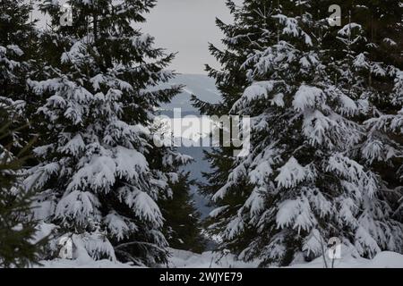 Winterlandschaft in Warstein, Schneewanderung zum Lörmecke Turm, Aussichtsplattform, Kreis Soest, Sauerland, NRW, Deutschland, Europa, Deutschland, Europa Stockfoto
