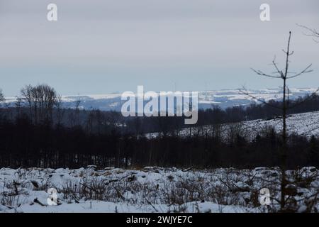 Winterlandschaft in Warstein, Schneewanderung zum Lörmecke Turm, Aussichtsplattform, Kreis Soest, Sauerland, NRW, Deutschland, Europa, Deutschland, Europa Stockfoto