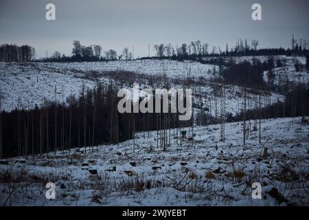 Winterlandschaft in Warstein, Schneewanderung zum Lörmecke Turm, Aussichtsplattform, Kreis Soest, Sauerland, NRW, Deutschland, Europa, Deutschland, Europa Stockfoto