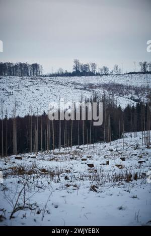 Winterlandschaft in Warstein, Schneewanderung zum Lörmecke Turm, Aussichtsplattform, Kreis Soest, Sauerland, NRW, Deutschland, Europa, Deutschland, Europa Stockfoto