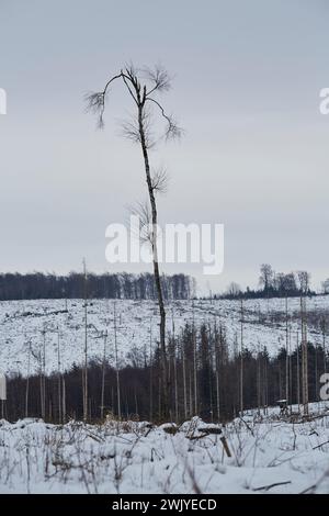 Winterlandschaft in Warstein, Schneewanderung zum Lörmecke Turm, Aussichtsplattform, Kreis Soest, Sauerland, NRW, Deutschland, Europa, Deutschland, Europa Stockfoto