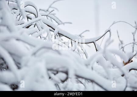 Winterlandschaft in Warstein, Schneewanderung zum Lörmecke Turm, Aussichtsplattform, Kreis Soest, Sauerland, NRW, Deutschland, Europa, Deutschland, Europa Stockfoto