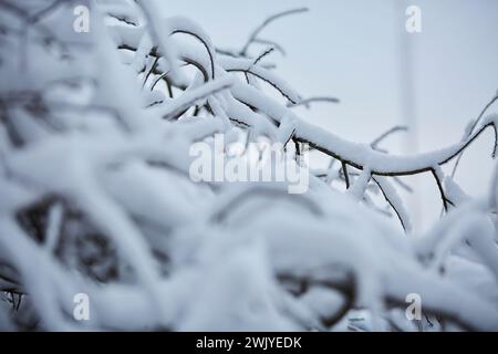 Winterlandschaft in Warstein, Schneewanderung zum Lörmecke Turm, Aussichtsplattform, Kreis Soest, Sauerland, NRW, Deutschland, Europa, Deutschland, Europa Stockfoto