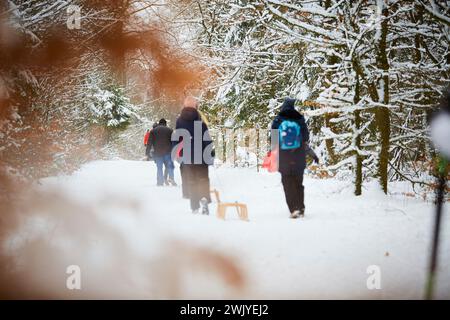 Winterlandschaft in Warstein, Schneewanderung zum Lörmecke Turm, Aussichtsplattform, Kreis Soest, Sauerland, NRW, Deutschland, Europa, Deutschland, Europa Stockfoto