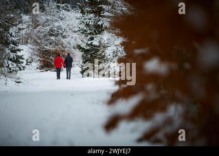Winterlandschaft in Warstein, Schneewanderung zum Lörmecke Turm, Aussichtsplattform, Kreis Soest, Sauerland, NRW, Deutschland, Europa, Deutschland, Europa Stockfoto