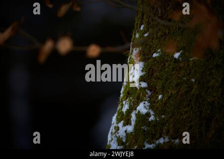 Winterlandschaft in Warstein, Schneewanderung zum Lörmecke Turm, Aussichtsplattform, Kreis Soest, Sauerland, NRW, Deutschland, Europa, Deutschland, Europa Stockfoto
