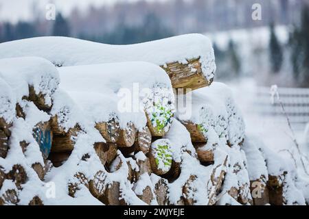 Winterlandschaft in Warstein, Schneewanderung zum Lörmecke Turm, Aussichtsplattform, Kreis Soest, Sauerland, NRW, Deutschland, Europa, Deutschland, Europa Stockfoto