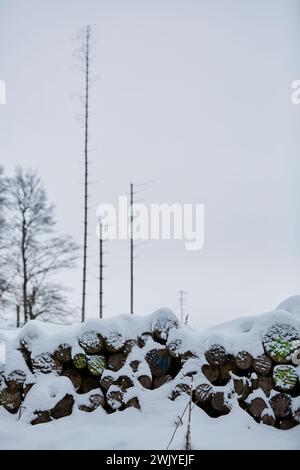 Winterlandschaft in Warstein, Schneewanderung zum Lörmecke Turm, Aussichtsplattform, Kreis Soest, Sauerland, NRW, Deutschland, Europa, Deutschland, Europa Stockfoto