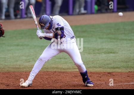 Baton Rouge, LA, USA. Februar 2024. Hayden Travinski (8) der LSU wird während der NCAA Baseball-Action zwischen den VMI Keydets und den LSU Tigers im Alex Box Stadium, Skip Bertman Field in Baton Rouge, LA, von einem Pitch getroffen. Jonathan Mailhes/CSM/Alamy Live News Stockfoto