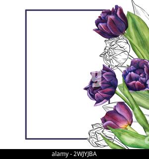 Rahmen mit Tulpenblüten in Aquarellfarben. Vorlage von Frühlingsblumen für Blumenmuster am valentinstag, 8. märz, Muttertag, ostern. Grußkartenrand Stockfoto