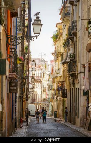 Blick auf die Rua de Rosa im Stadtteil Bairro Alto in Lissabon, Portugal Stockfoto