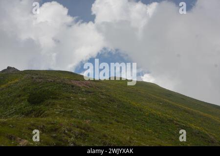 Alpenzone himalaya Region in Pakistan Stockfoto