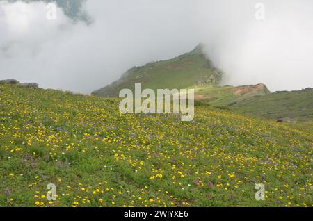 Alpenzone himalaya Region in Pakistan Stockfoto