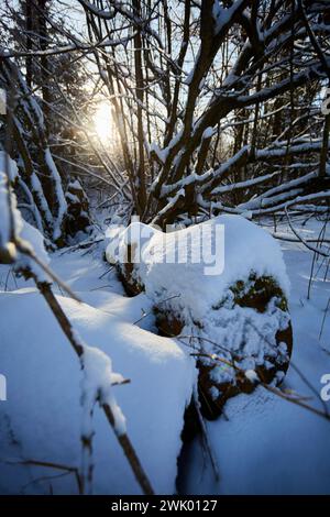 Hohler Stein im Lörmecke Tal bei Rüthen-Kallenhardt, im Schnee Januar 2024, Nordreihn-Westfalen, Deutschland, Europa Stockfoto