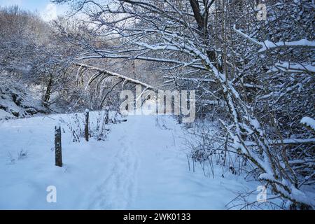 Hohler Stein im Lörmecke Tal bei Rüthen-Kallenhardt, im Schnee Januar 2024, Nordreihn-Westfalen, Deutschland, Europa Stockfoto