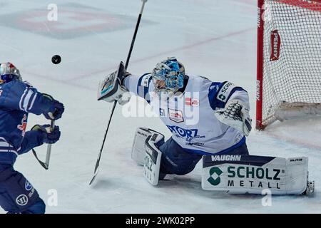 Deutsche Eishockey Liga DEL Stockfoto