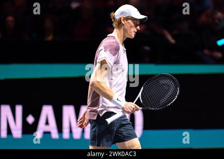 Rotterdam, Niederlande. Februar 2024. ROTTERDAM, NIEDERLANDE - 17. FEBRUAR: Jannik Sinner of Italy reagiert am 6. Tag der ABN AMRO Open 2024 in Ahoy am 17. Februar 2024 in Rotterdam, Niederlande. (Foto: Joris Verwijst/BSR Agency) Credit: BSR Agency/Alamy Live News Stockfoto