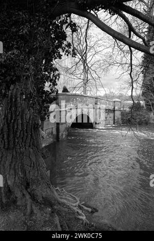 Bilder von Attingham Park Stately Home in der Nähe von Shrewsbury Shropshire, Gebäude und Park der Klasse I Stockfoto