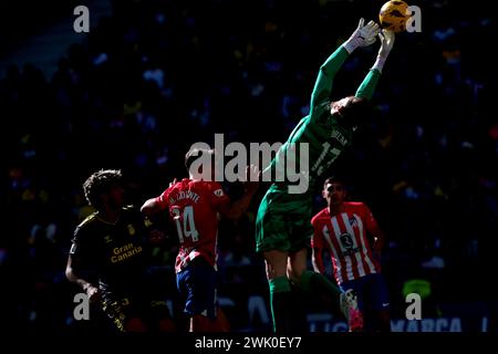 Madrid Spanien; 17.02.2024.- Atletico de Madrid besiegte UD Las Palmas 5-0 in der spanischen Fußballliga. Mit Toren von Marcos Llorentes 15', 20', Angel Correa 47', 62' und Memphis Depay 87' Atletico de Madrid schlägt Las Palmas am 25. Spieltag der spanischen Fußballliga im Civitas Metropolitano Stadium. Foto: Juan Carlos Rojas. Stockfoto