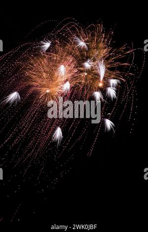 Rotes, weißes und goldenes Feuerwerk bricht am Nachthimmel. Stockfoto